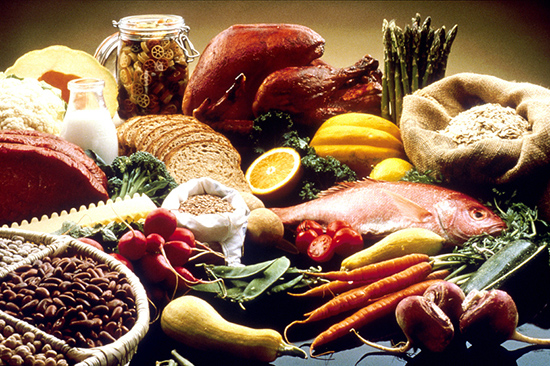 Which macronutrient is vital for every function of the body